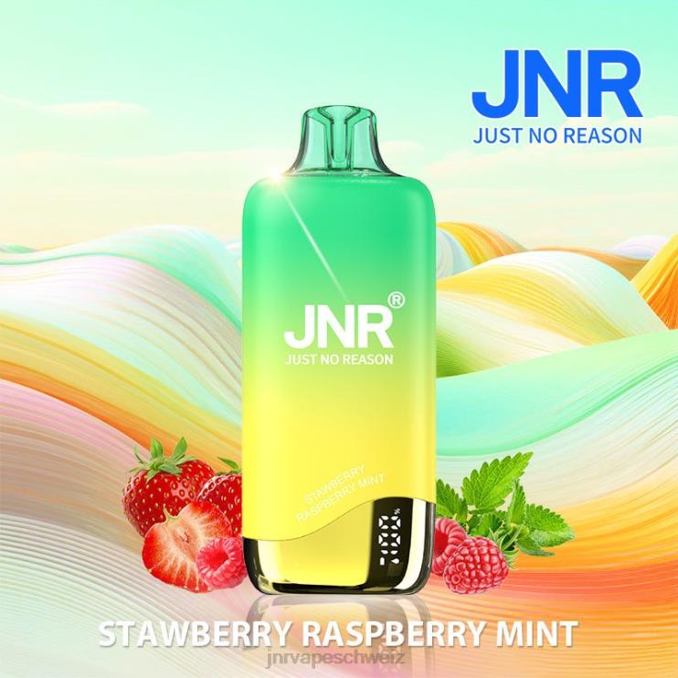 jnr Regenbogen Erdbeer-Himbeer-Minze BT0TV268 - JNR vape price