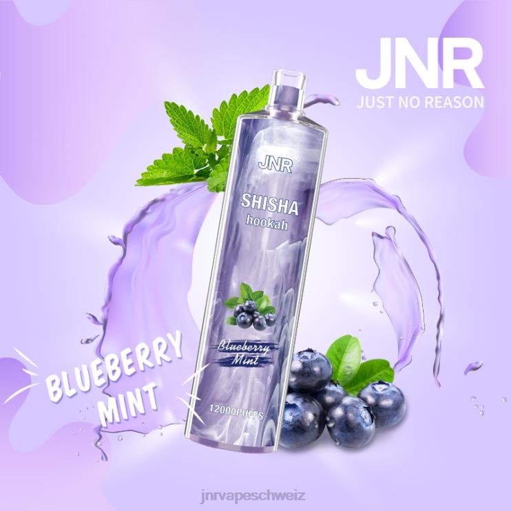 jnr Shisha Blaubeerminze BT0TV172 - JNR vape Geneva