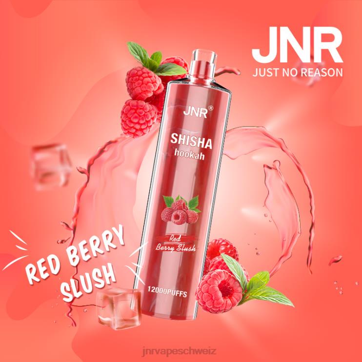 jnr Shisha Roter Beerenbrei BT0TV168 - JNR vape shop
