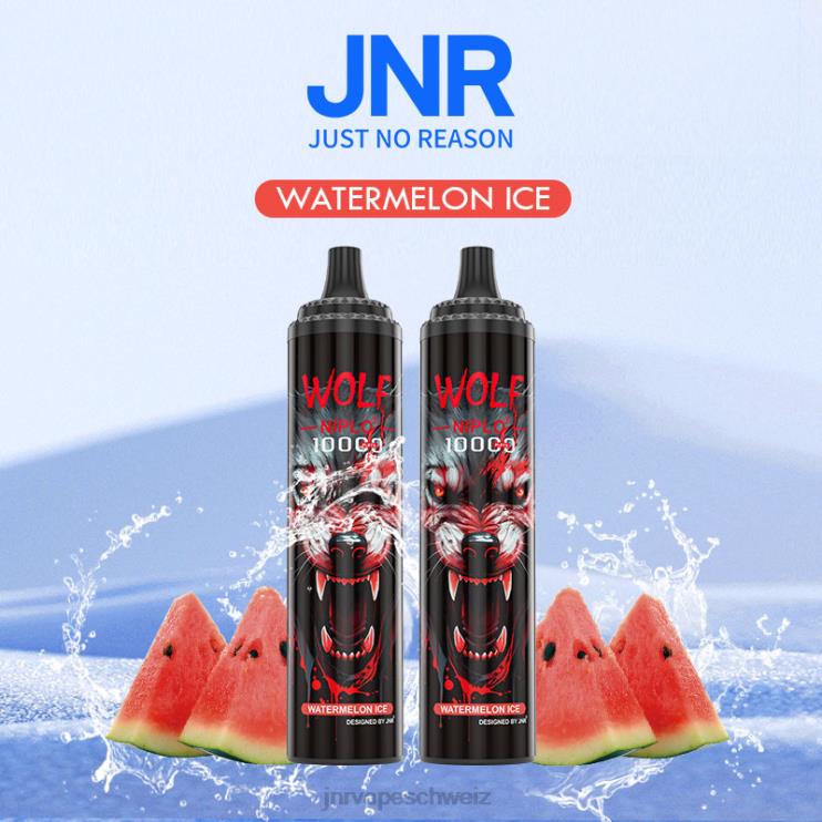 jnr wolf niplo Wassermeloneneis BT0TV353 - JNR vape Schweiz